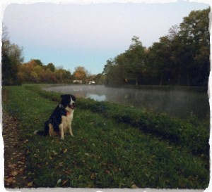 erie-canal